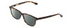 Profile View of Ernest Hemingway H4617 Designer Polarized Sunglasses with Custom Cut Smoke Grey Lenses in Tortoise Havana Brown Gold Unisex Cateye Full Rim Acetate 56 mm