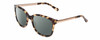 Profile View of Kate Spade GAYLA Designer Polarized Sunglasses with Custom Cut Smoke Grey Lenses in Camel Tortoise Havana Brown Ladies Cateye Full Rim Acetate 52 mm