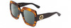 Profile View of Gucci GG0178S Designer Polarized Sunglasses with Custom Cut Smoke Grey Lenses in Transparent Havana/Black Ladies Square Full Rim Acetate 54 mm