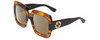 Profile View of Gucci GG0178S Designer Polarized Reading Sunglasses with Custom Cut Powered Amber Brown Lenses in Transparent Havana/Black Ladies Square Full Rim Acetate 54 mm