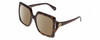 Profile View of Gucci GG0876S Designer Polarized Sunglasses with Custom Cut Amber Brown Lenses in Havana Tortoise Ladies Oversized Full Rim Acetate 60 mm