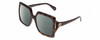 Profile View of Gucci GG0876S Designer Polarized Reading Sunglasses with Custom Cut Powered Smoke Grey Lenses in Havana Tortoise Ladies Oversized Full Rim Acetate 60 mm