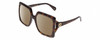 Profile View of Gucci GG0876S Designer Polarized Reading Sunglasses with Custom Cut Powered Amber Brown Lenses in Havana Tortoise Ladies Oversized Full Rim Acetate 60 mm