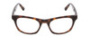 Front View of Jones New York J229 Designer Reading Eye Glasses with Custom Cut Powered Lenses in Tortoise Texture Havana Brown Gold Ladies Oval Full Rim Acetate 48 mm