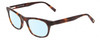 Profile View of Jones New York J229 Designer Blue Light Blocking Eyeglasses in Tortoise Havana Brown Gold Ladies Oval Full Rim Acetate 48 mm