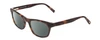 Profile View of Jones New York J229 Designer Polarized Sunglasses with Custom Cut Smoke Grey Lenses in Tortoise Texture Havana Brown Gold Ladies Oval Full Rim Acetate 48 mm