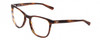 Profile View of Costa Del Mar 2002-01 Designer Progressive Lens Blue Light Blocking Eyeglasses in Brown Tortoise Havana Unisex Cat Eye Full Rim Acetate 53 mm