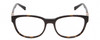 Front View of Jones New York J755 Designer Single Vision Prescription Rx Eyeglasses in Tortoise Havana Brown Gold Unisex Oval Full Rim Acetate 52 mm