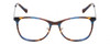 Front View of Lucky Brand D510 Designer Reading Eye Glasses with Custom Cut Powered Lenses in Blue Brown Stripe Horn Unisex Cat Eye Full Rim Acetate 52 mm
