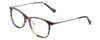 Profile View of Lucky Brand D510 Designer Single Vision Prescription Rx Eyeglasses in Blue Brown Stripe Horn Unisex Cat Eye Full Rim Acetate 52 mm