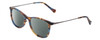 Profile View of Lucky Brand D510 Designer Polarized Reading Sunglasses with Custom Cut Powered Smoke Grey Lenses in Blue Brown Stripe Horn Unisex Cat Eye Full Rim Acetate 52 mm