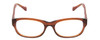 Front View of Lucky Brand Busy Bee Womens Cateye Reading Glasses in Brown Crystal Caramel 49mm