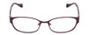 Front View of Lucky Brand Horizon Women's Reading Glasses Satin Purple Brown Stripe Horn 51 mm
