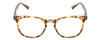 Front View of Prive Revaux Show Off Single Designer Reading Eye Glasses with Custom Cut Powered Lenses in Multi Tortoise Havana Crystal Ladies Round Full Rim Acetate 48 mm
