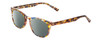 Profile View of Prive Revaux Show Off Single Designer Polarized Sunglasses with Custom Cut Smoke Grey Lenses in Multi Tortoise Havana Crystal Ladies Round Full Rim Acetate 48 mm