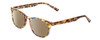Profile View of Prive Revaux Show Off Single Designer Polarized Reading Sunglasses with Custom Cut Powered Amber Brown Lenses in Multi Tortoise Havana Crystal Ladies Round Full Rim Acetate 48 mm