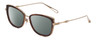 Profile View of Chopard VCH256M Designer Polarized Sunglasses with Custom Cut Smoke Grey Lenses in Auburn Brown Tortoise/Gold Ladies Cat Eye Full Rim Metal 53 mm