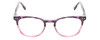 Front View of Prive Revaux Show Off Single Designer Reading Eye Glasses with Custom Cut Powered Lenses in Black Purple Tortoise Blush Pink Crystal Fade Ladies Round Full Rim Acetate 48 mm