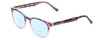 Profile View of Prive Revaux Show Off Single Designer Progressive Lens Blue Light Blocking Eyeglasses in Black Purple Tortoise Blush Pink Crystal Fade Ladies Round Full Rim Acetate 48 mm