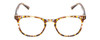 Front View of Prive Revaux Show Off Single Designer Progressive Lens Prescription Rx Eyeglasses in Toffee Orange Brown Ladies Round Full Rim Acetate 48 mm