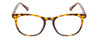 Front View of Prive Revaux Show Off Womens Round Reading Glasses in Toffee Brown Tortoise 48mm