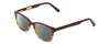Profile View of Ernest Hemingway H4657 Designer Polarized Sunglasses with Custom Cut Smoke Grey Lenses in Tortoise Havana Brown Gold Unisex Rectangular Full Rim Acetate 49 mm