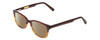 Profile View of Ernest Hemingway H4657 Designer Polarized Sunglasses with Custom Cut Amber Brown Lenses in Tortoise Havana Brown Gold Unisex Rectangular Full Rim Acetate 49 mm
