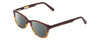 Profile View of Ernest Hemingway H4657 Designer Polarized Reading Sunglasses with Custom Cut Powered Smoke Grey Lenses in Tortoise Havana Brown Gold Unisex Rectangular Full Rim Acetate 49 mm