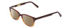 Profile View of Ernest Hemingway H4657 Designer Polarized Reading Sunglasses with Custom Cut Powered Amber Brown Lenses in Tortoise Havana Brown Gold Unisex Rectangular Full Rim Acetate 49 mm