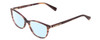 Profile View of Kenneth Cole KC0308 Designer Blue Light Blocking Eyeglasses in Brown Horn Purple Marble Ladies Oval Full Rim Acetate 52 mm
