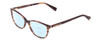 Profile View of Kenneth Cole KC0308 Designer Progressive Lens Blue Light Blocking Eyeglasses in Brown Horn Purple Marble Ladies Oval Full Rim Acetate 52 mm