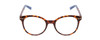 Front View of Kate Spade KAYLIN Designer Reading Eye Glasses with Custom Cut Powered Lenses in Dark Brown Amber Tortoise Havana Ladies Round Full Rim Acetate 49 mm