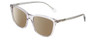 Profile View of Kate Spade PAVIA Designer Polarized Sunglasses with Custom Cut Amber Brown Lenses in Clear Green Crystal Ladies Square Full Rim Acetate 55 mm