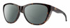 Profile View of Smith Optics Shoal Designer Polarized Reading Sunglasses with Custom Cut Powered Smoke Grey Lenses in Tortoise Havana Brown Gold Unisex Oval Full Rim Acetate 58 mm