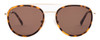 Front View of SITO SHADES KITSCH Women's Aviator Sunglasses in Tortoise Havana Gold/Brown 55mm