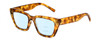 Profile View of Kendall+Kylie KK5145CE SADIE Designer Progressive Lens Blue Light Blocking Eyeglasses in Amber Demi Tortoise Havana Crystal Ladies Square Full Rim Acetate 50 mm