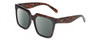 Profile View of Kendall+Kylie KK5160CE COLLEEN Designer Polarized Sunglasses with Custom Cut Smoke Grey Lenses in Amber Tortoise Havana Crystal Ladies Square Full Rim Acetate 54 mm