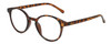Profile View of Elle EL15557R Designer Blue Light Blocking Eyeglasses in Gloss Tortoise Havana Brown Spot Ladies Panthos Full Rim Acetate 49 mm