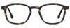Front View of Carrera 244 Unisex Pantho Designer Reading Glasses in Tortoise Havana Black 51mm