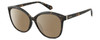 Profile View of Polaroid 4100/F/S Designer Polarized Reading Sunglasses with Custom Cut Powered Amber Brown Lenses in Gloss Tortoise Havana Brown Gemstone Crystal Accents Ladies Cat Eye Full Rim Acetate 59 mm