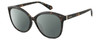 Profile View of Polaroid 4100/F/S Designer Polarized Reading Sunglasses with Custom Cut Powered Smoke Grey Lenses in Gloss Tortoise Havana Brown Gemstone Crystal Accents Ladies Cat Eye Full Rim Acetate 59 mm