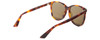 Side View of GUCCI GG0024S-002 Unisex Designer Sunglasses in Havana Tortoise Gold/Brown 58 mm