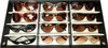 Corinne McCormack Women's Designer Sunglasses WHOLESALE 12 PIECE LOT Retail$1749