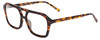 Profile View of SITO SHADES The Void Designer Single Vision Prescription Rx Eyeglasses in Maple Tortoise Havana Brown Unisex Pilot Full Rim Acetate 56 mm