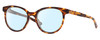 Profile View of Costa Del Mar Isla Designer Blue Light Blocking Eyeglasses in Shiny Amber Brown Tortoise Havana Gold Ladies Panthos Full Rim Acetate 54 mm