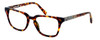 Parkman Handcrafted Eyeglasses Bradfield in Tortoise with Magazine ; Made in the USA :: Custom Left & Right Lens