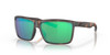 Top View of Costa Del Mar Rinconcito Sunglasses in Tortoise/Polarized Green Mirror 580G 60mm Alternate 1