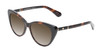 Profile View of Kate Spade SHERYLYN Designer Polarized Reading Sunglasses with Custom Cut Powered Amber Brown Lenses in Gloss Black Amber Brown Tortoise Havana Ladies Cat Eye Full Rim Acetate 54 mm