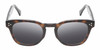 Front View of Reptile Chelidae Designer Polarized Sunglasses with Custom Cut Smoke Grey Lenses in Amber Brown Tortoise Havana Crystal Unisex Panthos Full Rim Acetate 49 mm
