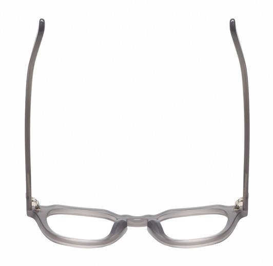 Top View of Reptile Liaochelys Designer Single Vision Prescription Rx Eyeglasses in Smoke Grey Crystal Silver Unisex Panthos Full Rim Acetate 48 mm